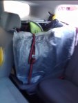 2012-02-19 17.35.23.jpg