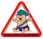 shelk4.jpg