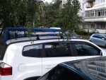 20120724_201145.jpg