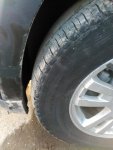 IMG_20160408_083556.jpg