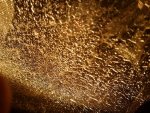 20170116_204115.jpg