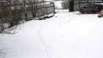 camera 11_2017-Mar-27_10_43_59_578.jpg