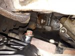 20170418_081927.jpg