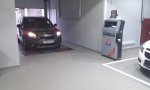 IMAG0666.jpg