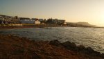 DSC08292.jpg