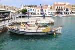 IMG_0768.jpg