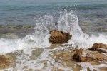 IMG_0939.jpg