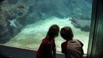 IMG_0998.jpg