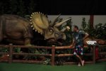 IMG_1141.jpg