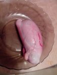 IMG_20150126_203413.jpg