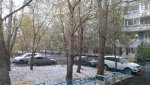 IMG_20151008_114841.jpg