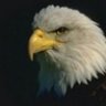 White Eagle